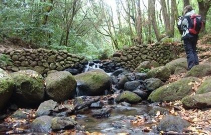 El diario británico ‘Telegraph’ considera a La Gomera como uno de los mejores destinos para 2016