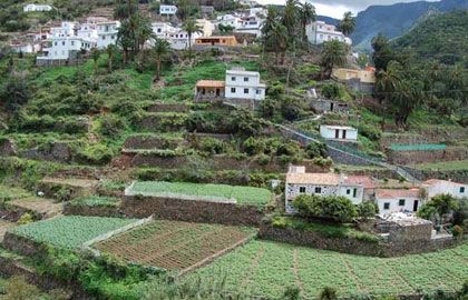 Vallehermoso se acogerá al Programa de Desarrollo Rural