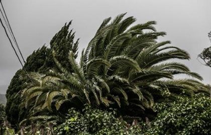 Canarias en aviso amarillo por rachas de hasta 85 kilómetros por hora