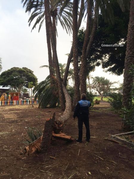 El parque de La Torre del Conde volverá a cerrarse hasta que amaine el temporal de viento