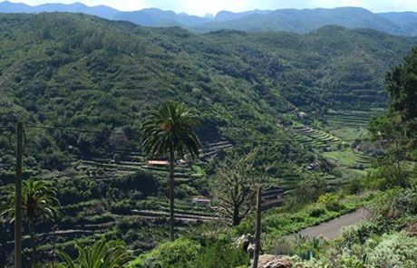 El Cabildo comenzará la construcción de un muro de contención en La Palmita