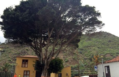 El Ayuntamiento de Hermigua mejora el entorno de la Plaza de la Encarnación
