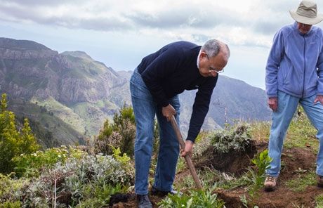Los turistas “plantan su semilla” en el Día Internacional del Árbol