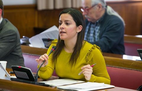 ASG logra la unanimidad del Senado para dotar de recursos al Plan Integral de Empleo de Canarias