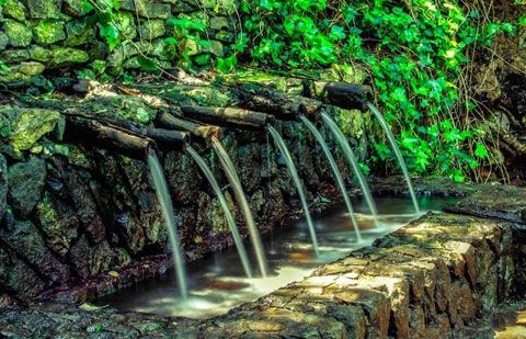 La Gomera celebrará el Día Mundial del Agua