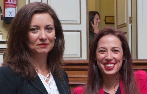 El PSOE lleva las necesidades del aeropuerto de La Gomera al debate de la nacionalidad