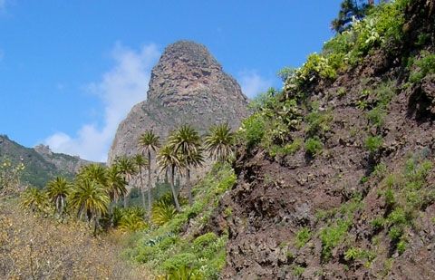 SSP : El Gobierno Isular no tiene nada que celebrar en el aniversario de la Reserva de La Biosfera