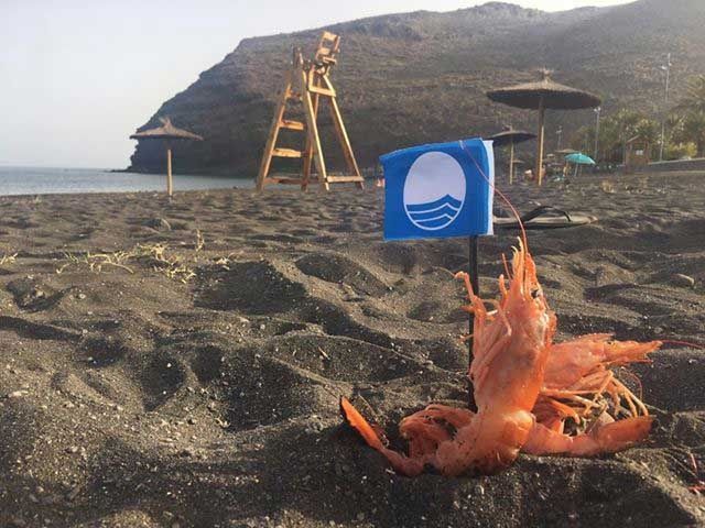 El maratón fotográfico de la playa de San Sebastián ya tiene a sus premiados