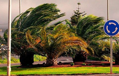 El calor da paso a viento demoderado a fuerte en Canarias
