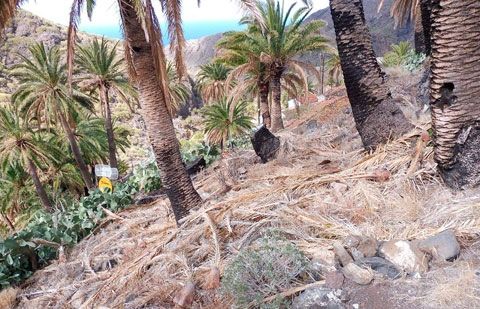 Sí se puede en Vallehermoso se hace eco de la situación de los vecinos de Tazo