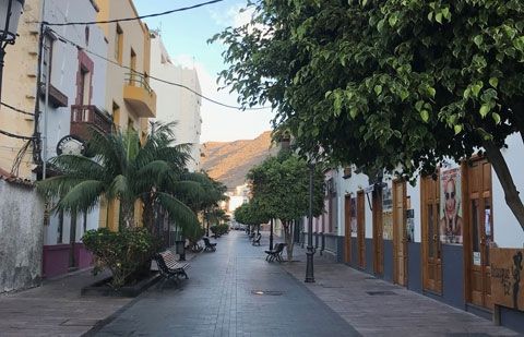 El PSOE solicita mejoras en los jardines y árboles de la calle Del Medio