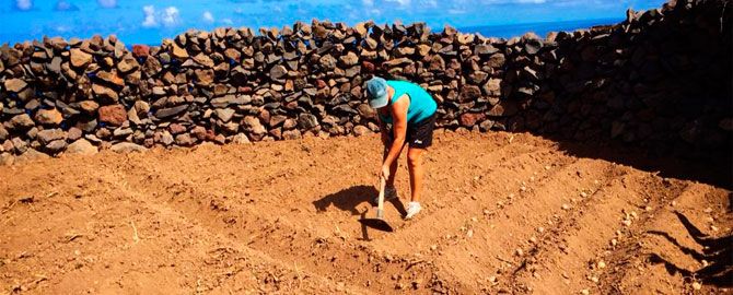 Mujeres luchadoras que sustentan nuestro entorno rural