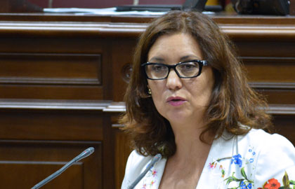 El PSOE afirma que en La Gomera la gestión sanitaria no es la más adecuada