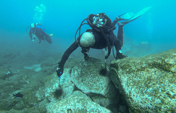 San Sebastián realiza acción de control de erizos en las aguas de la bahía