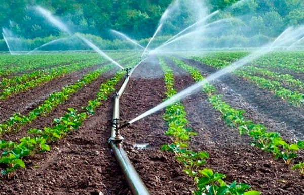 Valle Gran Rey acoge charla sobre la contaminación de aguas por nitrato de origen agrario
