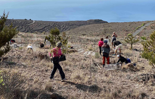 La Gomera ‘planta’ conciencia en el Día del Árbol