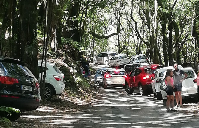 El Parque Nacional de Garajonay establece un control de acceso con vehículos, a la zona de las mimbreras