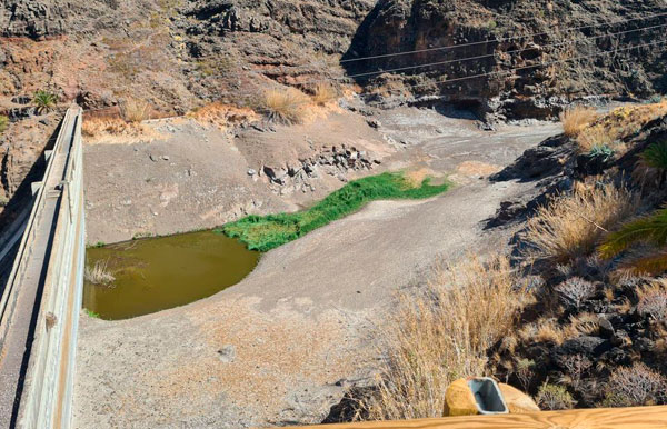 Transición Ecológica aborda los retos de la enología canaria frente al cambio climático
