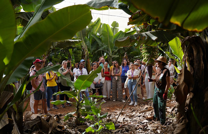 El AgroEnoturismo en Canarias impulsa el compromiso público y privado