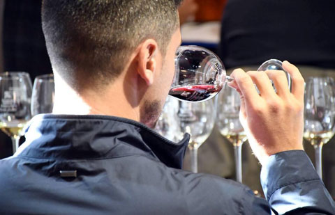 El Gobierno de Canarias concede ayudas a la transformación, embotellado y comercialización exterior de vinos con DOP