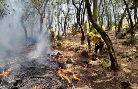 Vallehermoso impulsa la creación de grupos de intervención ante incendios