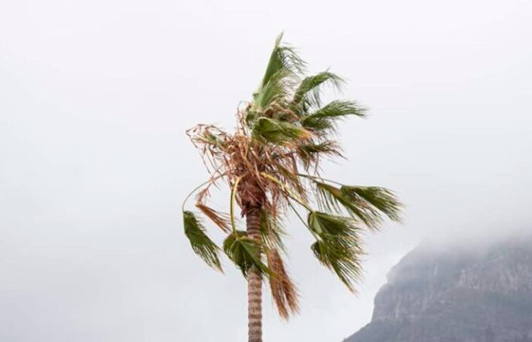 Alerta por viento en El Hierro, La Gomera y Tenerife; prealerta en las islas orientales