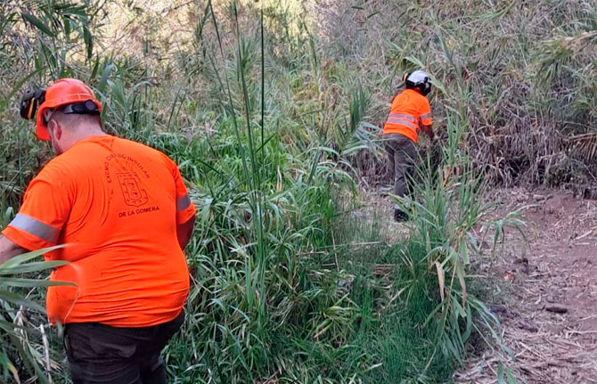 El Cabildo impulsa la conservación del sendero El Guro – Salto del Agua en Valle Gran Rey